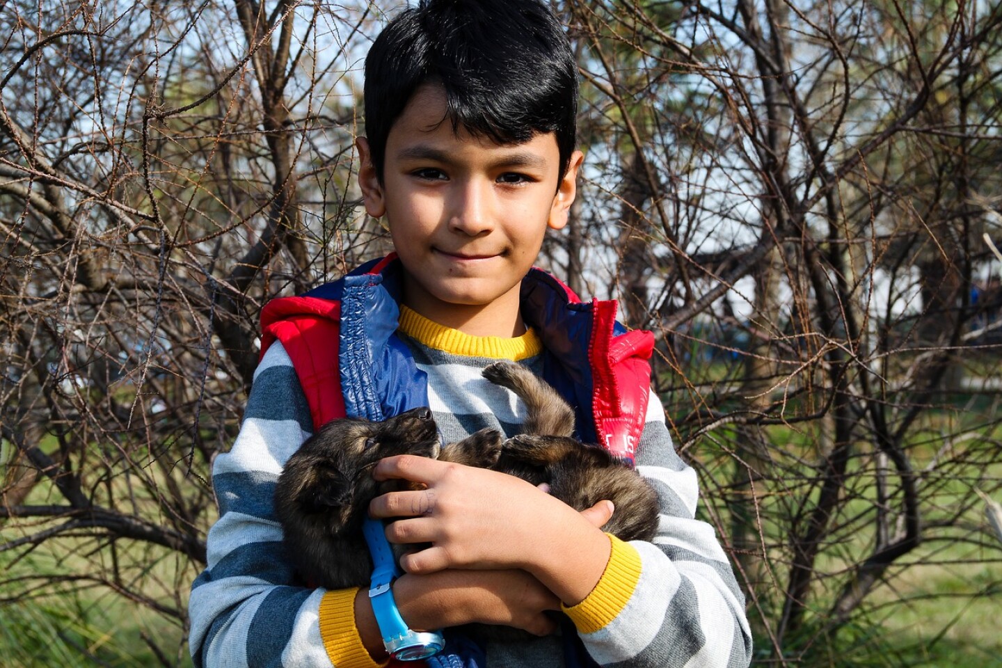 boy-and-dog-g0eeec33ab_1280