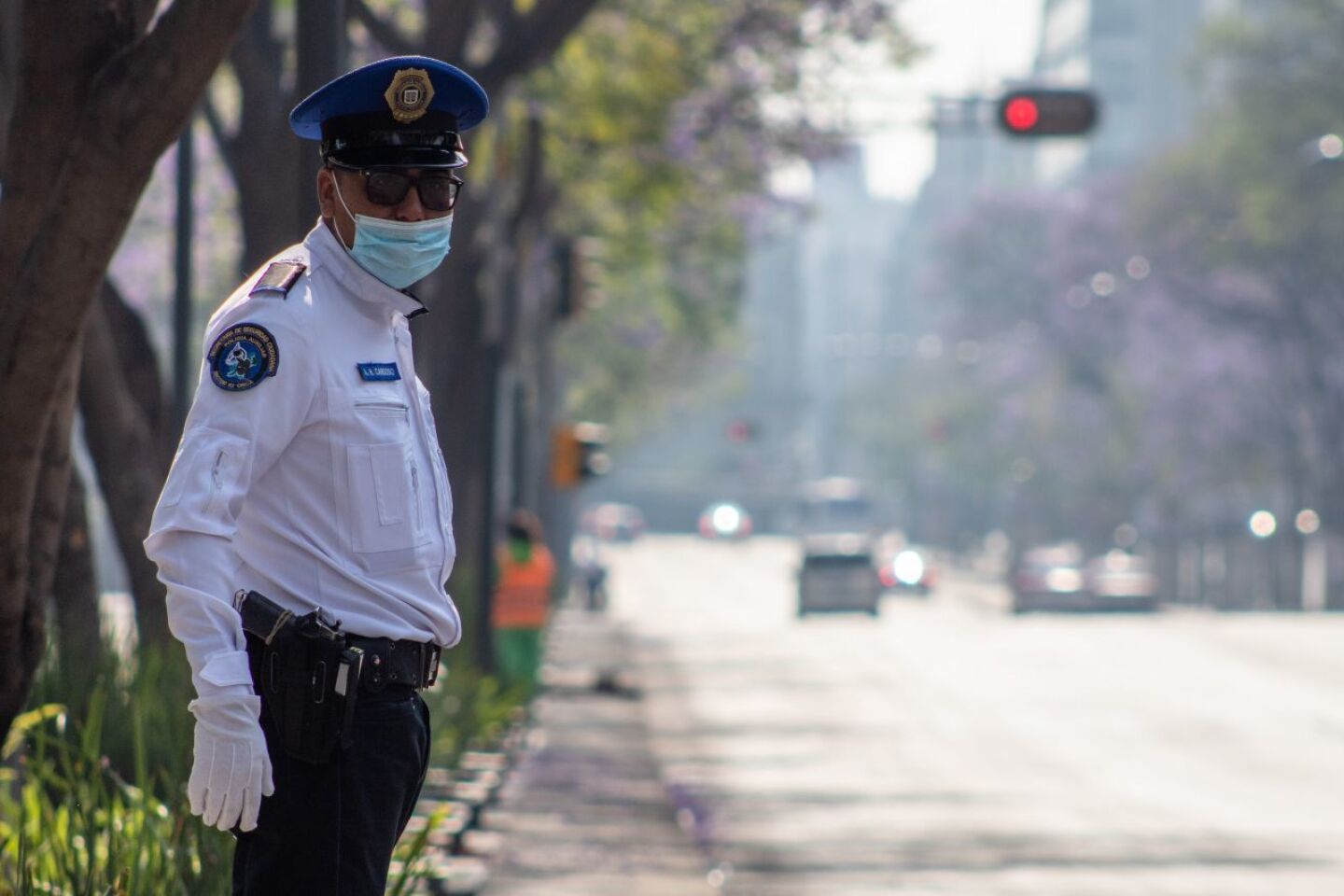 Covid 19 casos en México