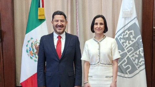 Renuncia Luz Elena González