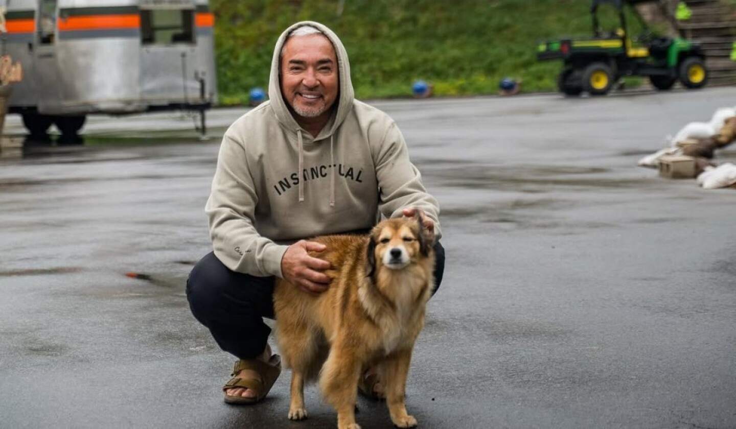 cesar-millan.jpg