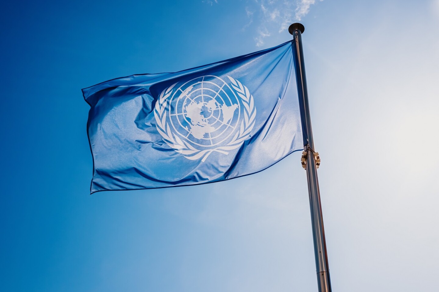 bandera ONU