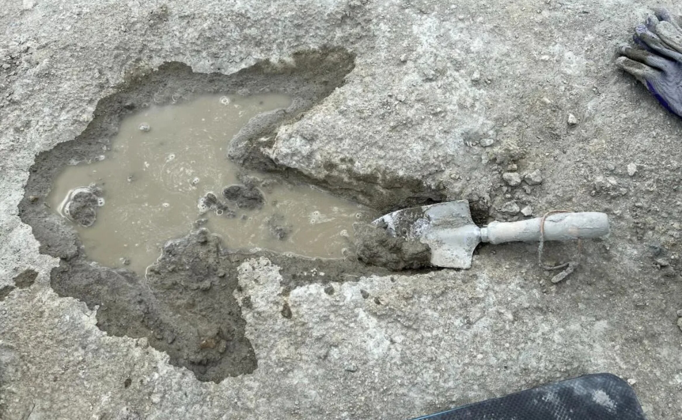 yacimiento-de-dinosaurios-mas-antiguo-universidad-birmingham-1