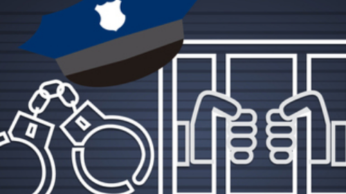 seguridad mexico.png