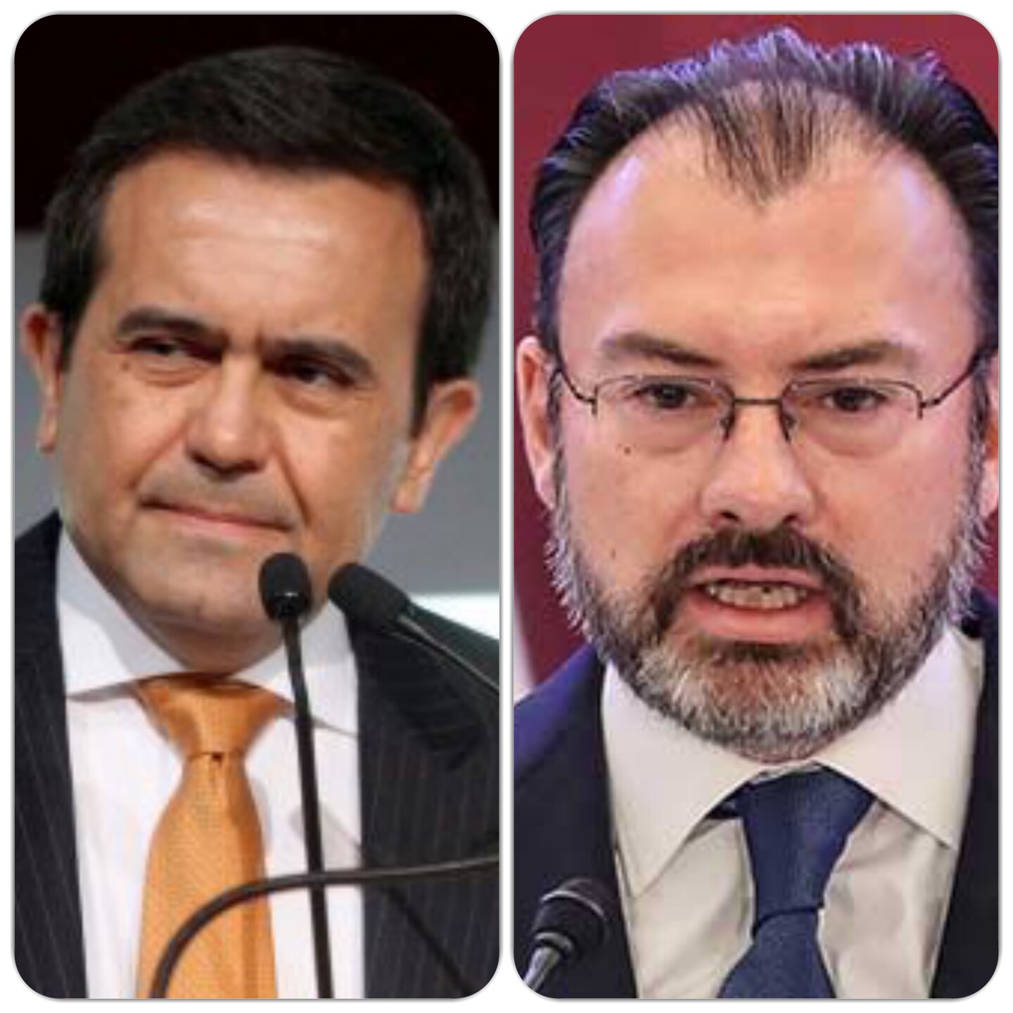 guajardo-videgaray