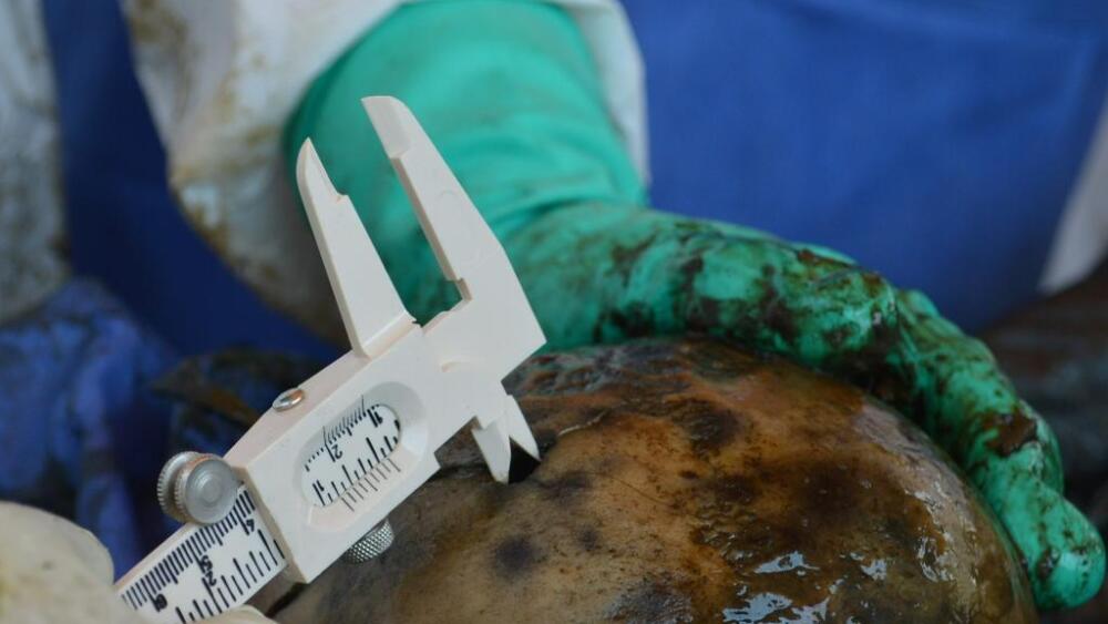 WhatsApp Image 2022-04-04 at 10.15.43 AM