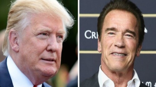 collage trump y arnold