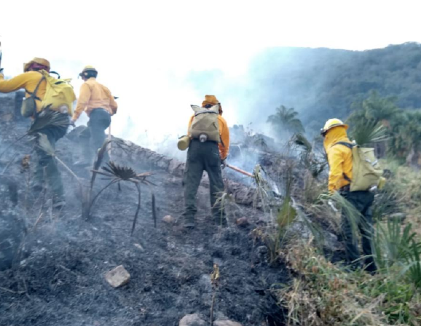 Captura de pantalla 2021-03-25 a la(s) 17.39.19