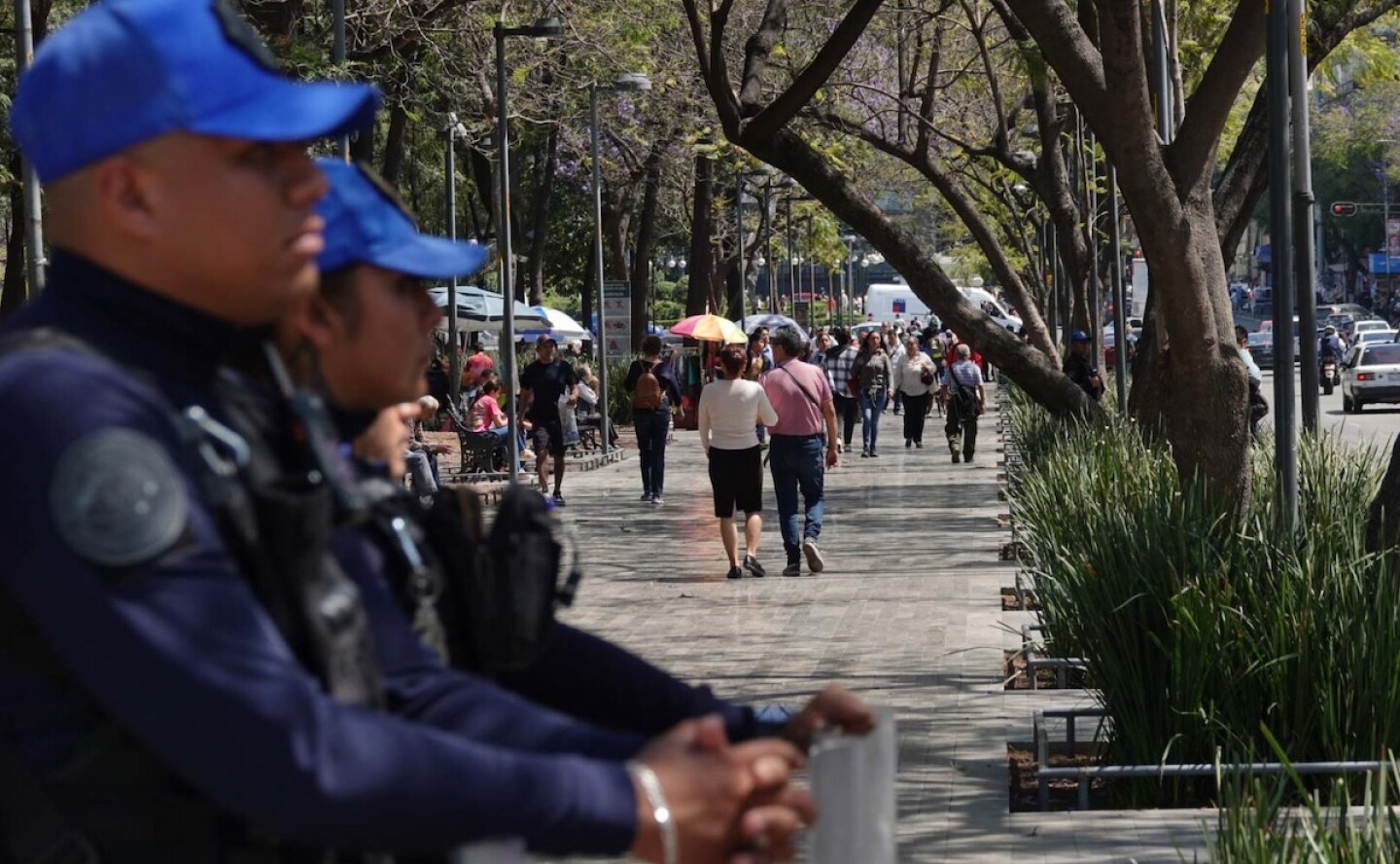 Seguridad Alameda Central