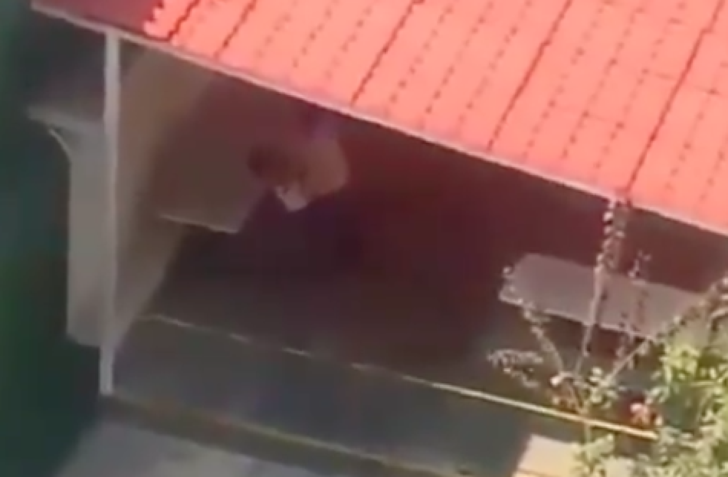maestra_ahorcando_niño