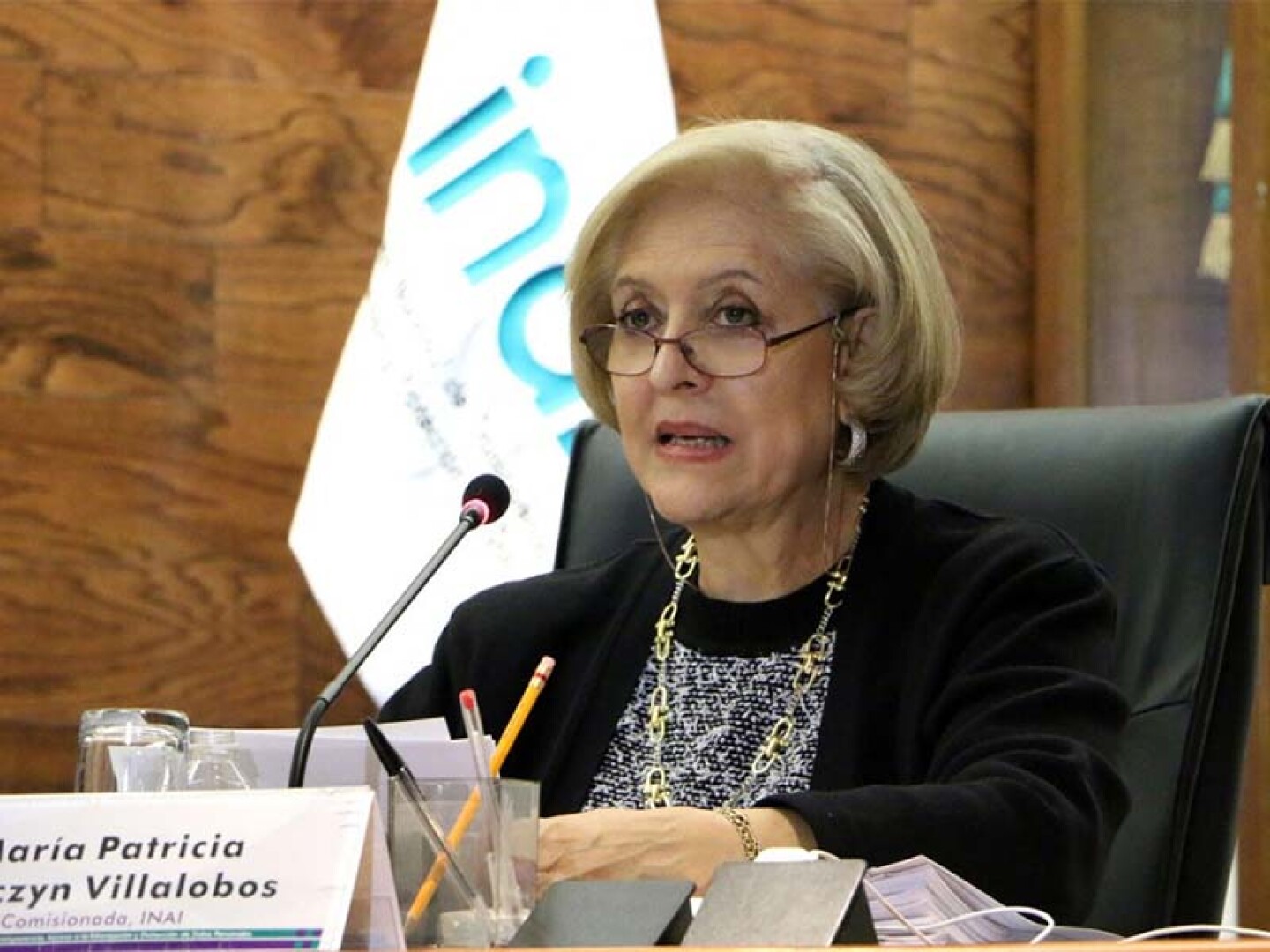 María Patricia Kurezyn Villalobos,