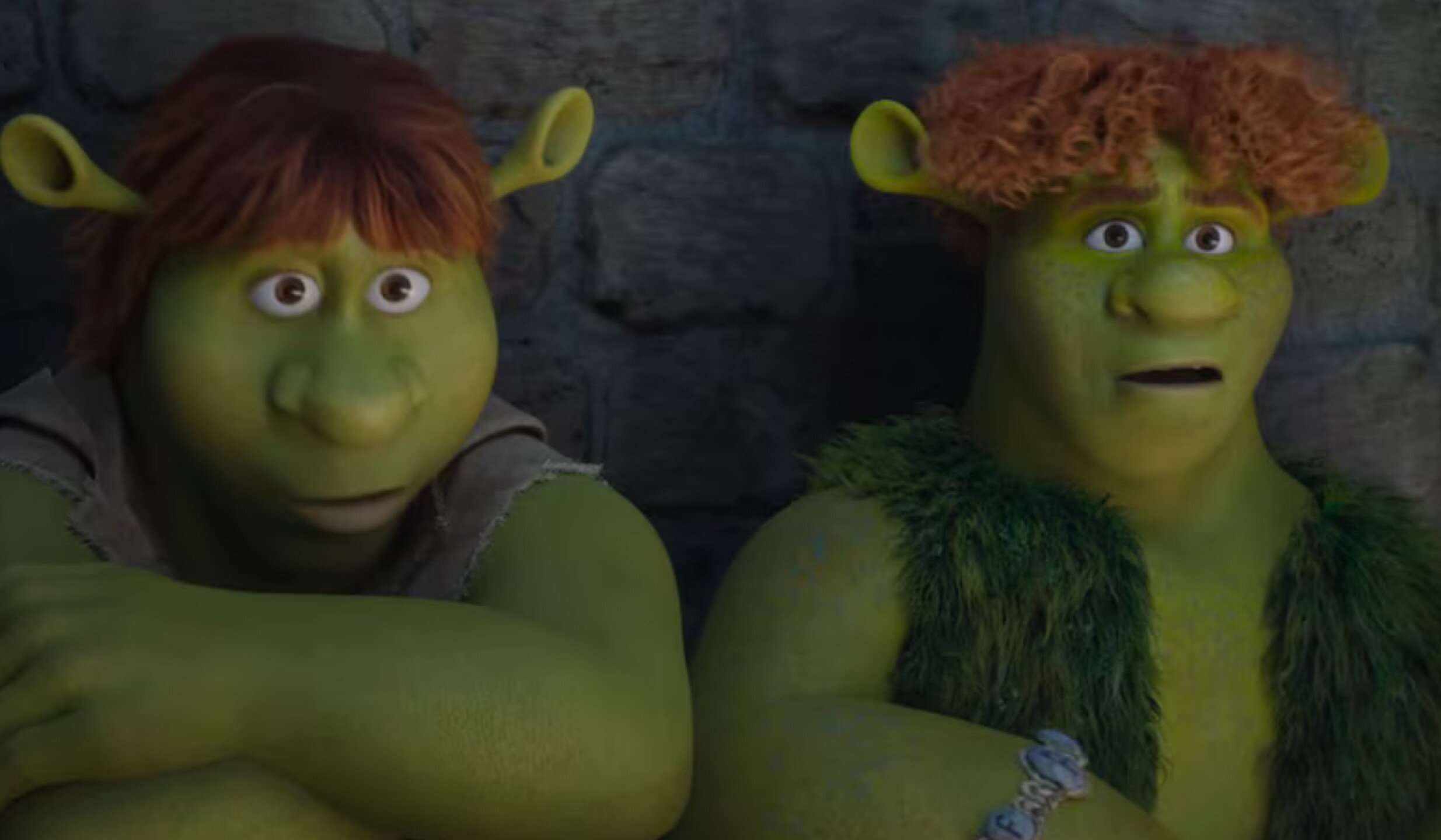 trailer sherk 5(1).jpg