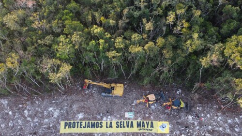 greenpeace-tren-maya