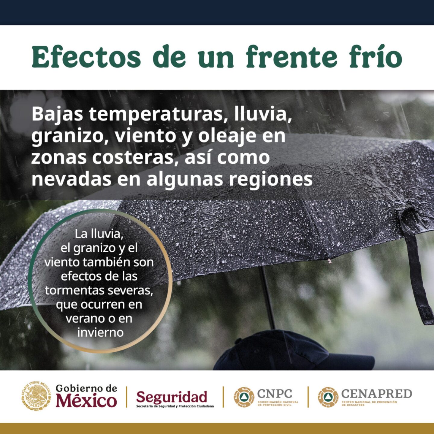 frente-frio-20-Mexico-1280x1280