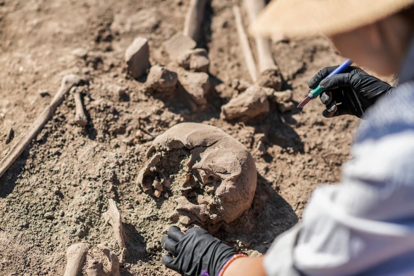 creaneo excavación