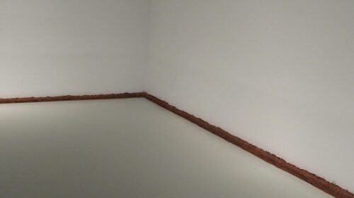 linea_termica_sofia_taboas_museo_jumex_2