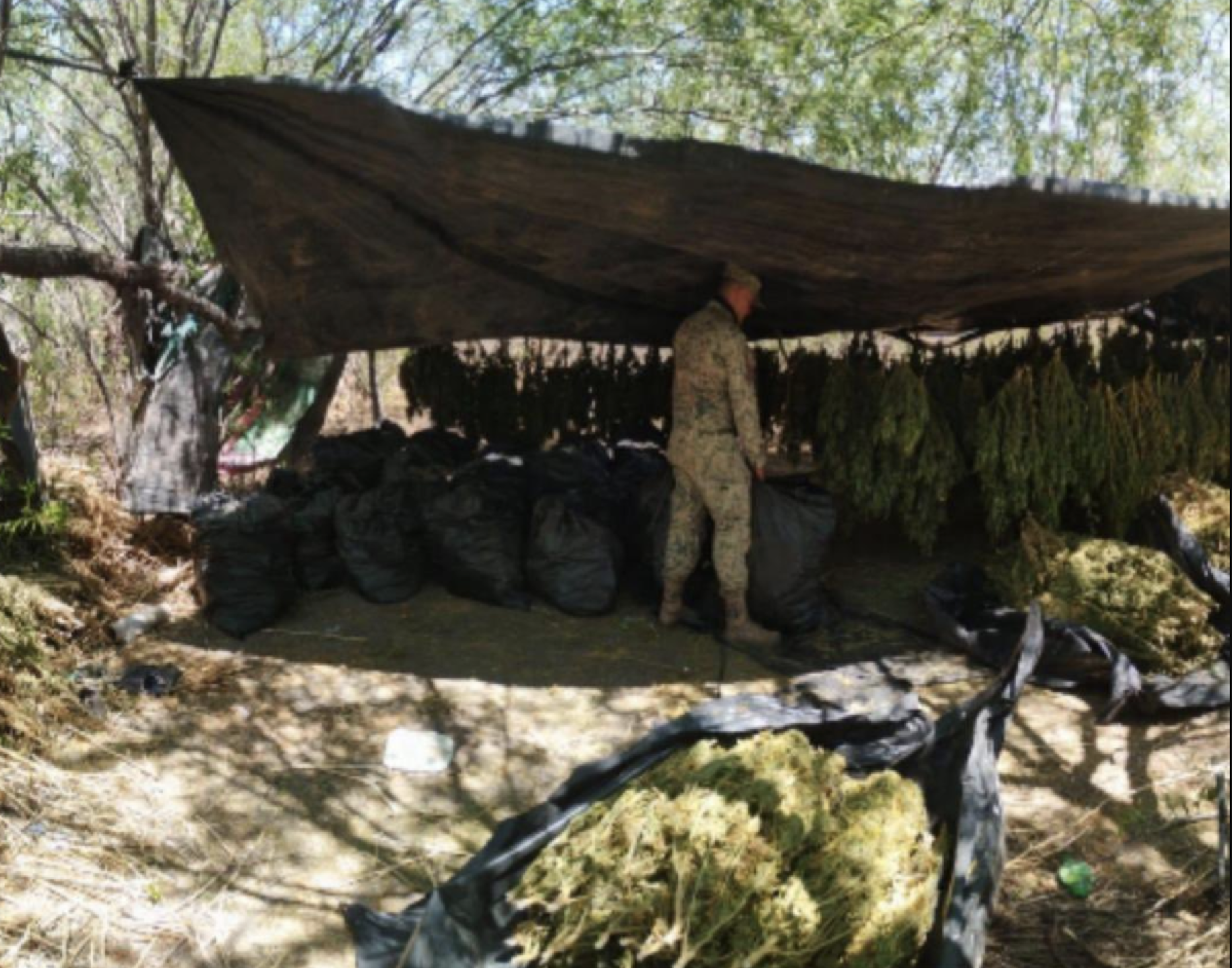 Decomiso en Mocorito, Sinaloa