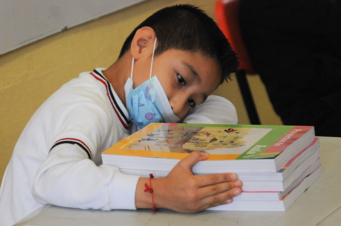 libros de texto gratuito Un niño revisa sus nuevos libros de texto previo a comenzar las clases.