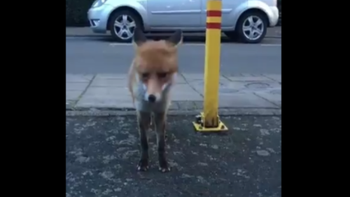 Captura de pantalla 2018-03-30 a las 2