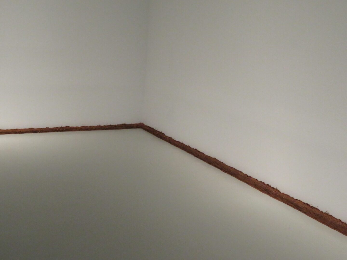 linea_termica_sofia_taboas_museo_jumex_2