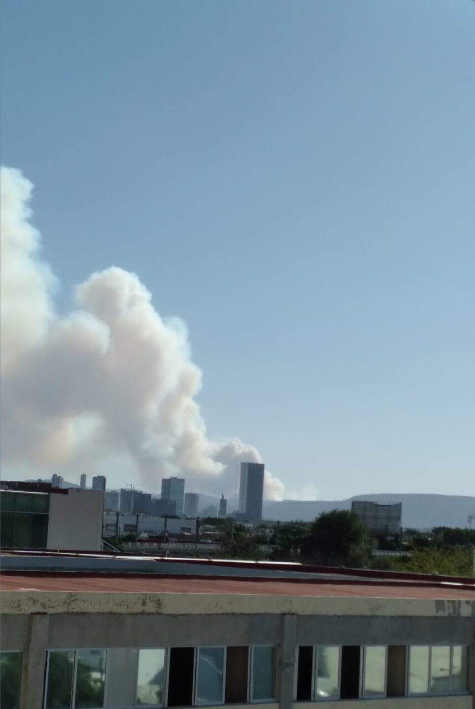 incendio-bosque-la-primavera-guadalajara-1-857x1280