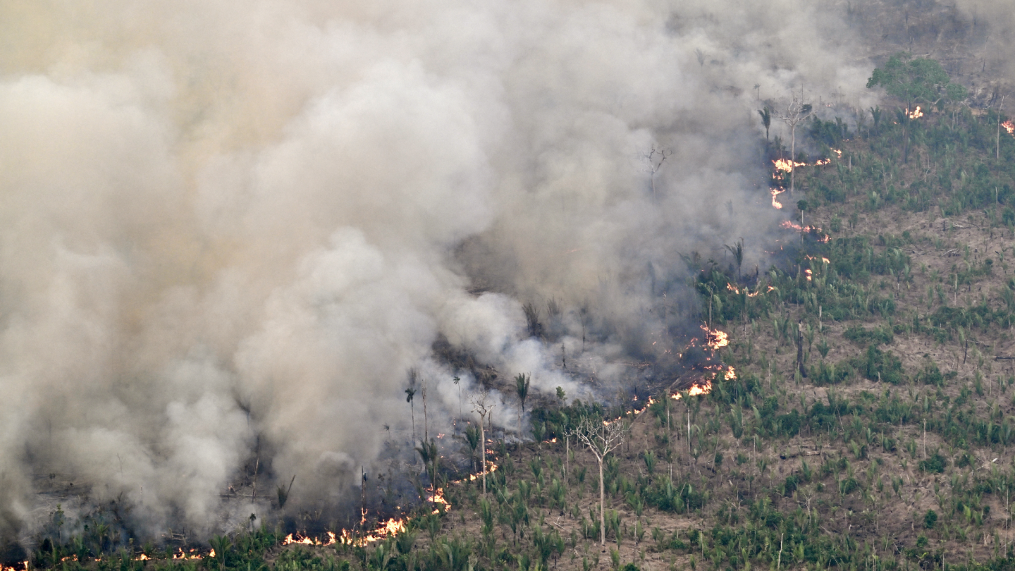 30 ciudades de Brasil, en 'alerta máxima' por incendios forestales
