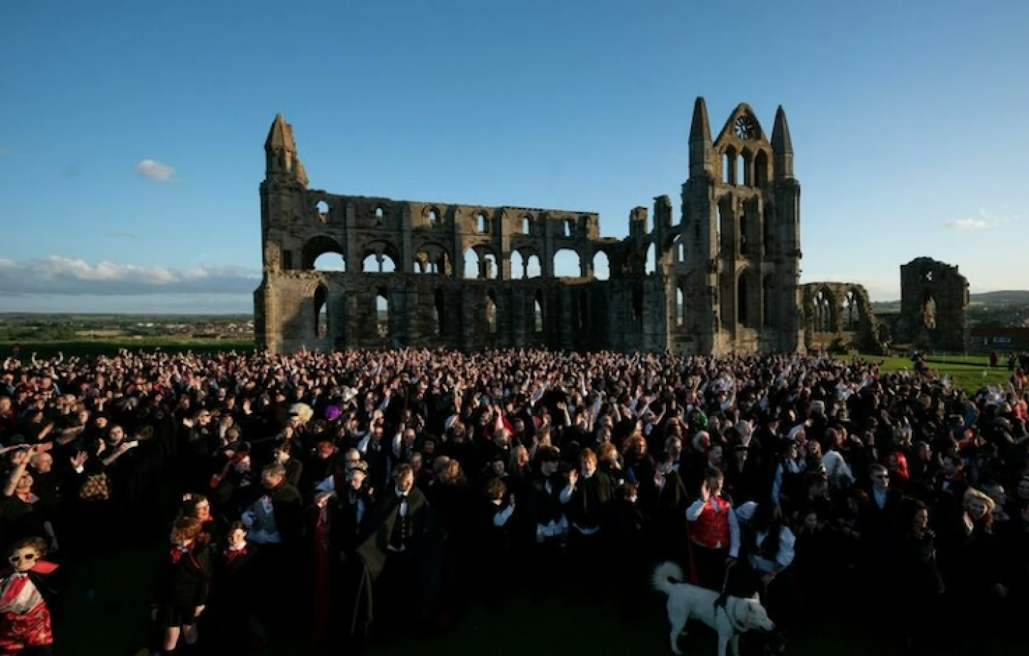 Captura de Pantalla 2022-05-27 a la(s) 7.36.55