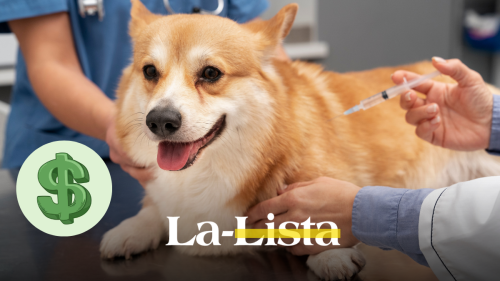 vacunas-de-100-pesitos-en-veterinarias-del-dr-simi-las-13-sucursales-a-las-que-puedes-llevar-a-tu-perro-o-gato.png