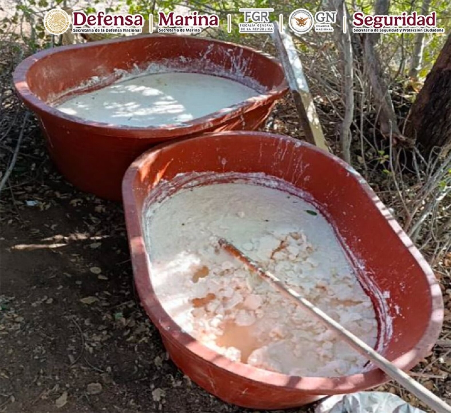 Narcolaboratorio diversos precursores químicos