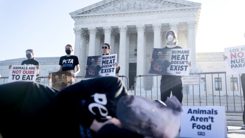 FILES-US-JUSTICE-PIGS