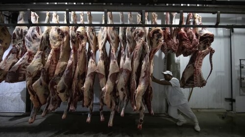 Develados los planes para presentar la carne como ‘nutrición sostenible’ en la COP28