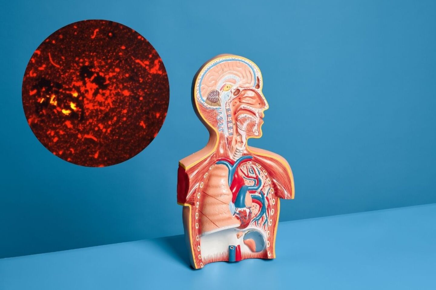 casos-de-tuberculosis-en-mexico-superan-los-4-mil-como-se-contagia-y-cuales-son-los-sintomas