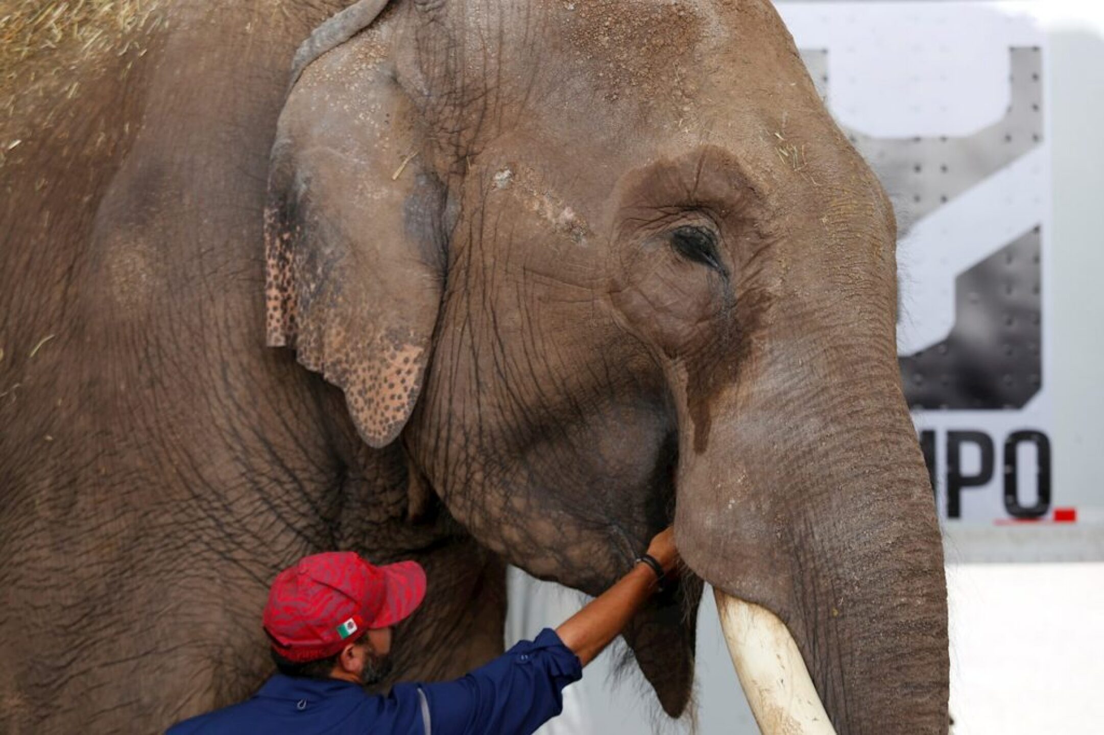 F03E3E11-9DDF-4592-B356-A4FA16A5BC9A-1024x682