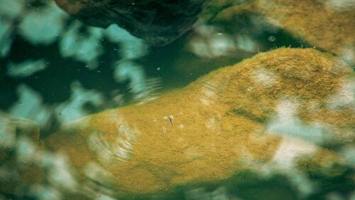 Gases tóxicos en San Diego por contaminación del río Tijuana, legisladores piden declaración de emergencia