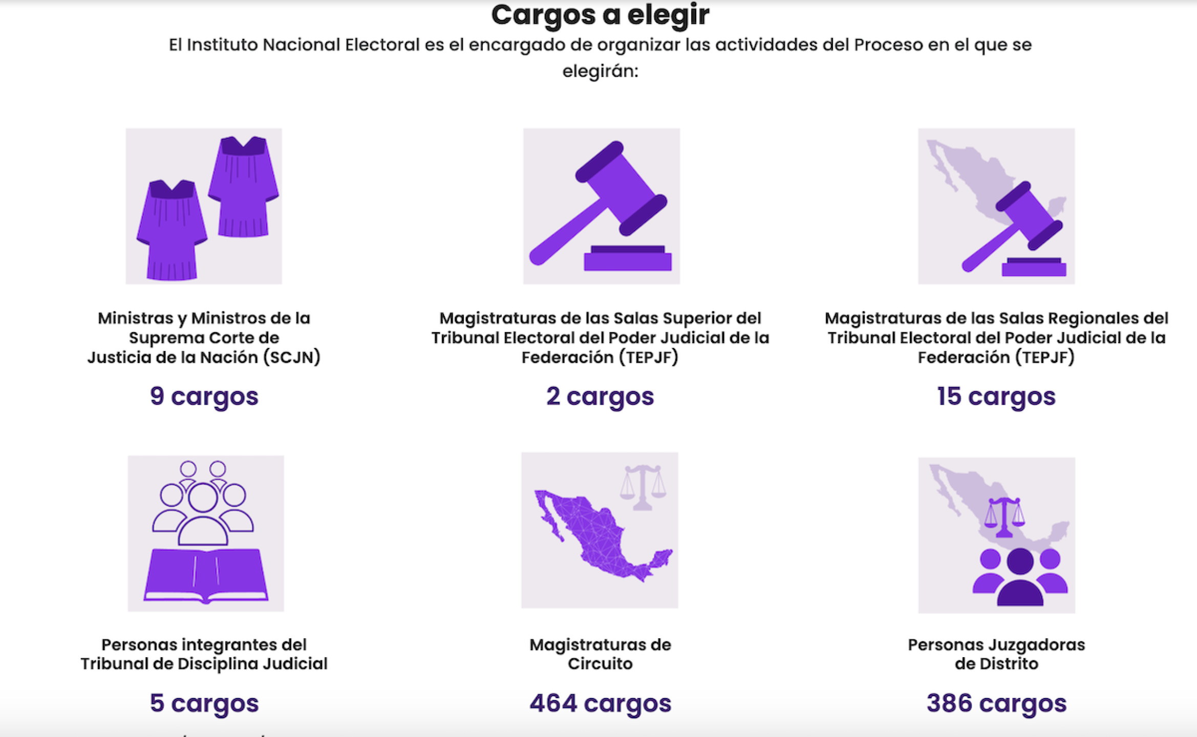 cargos_a_elegir_eleccion_judicial.png