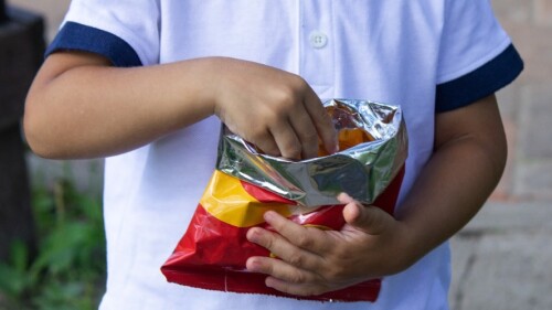 Evita que tus hijos tengan sobrepeso u obesidad. Foto: Envato Elements