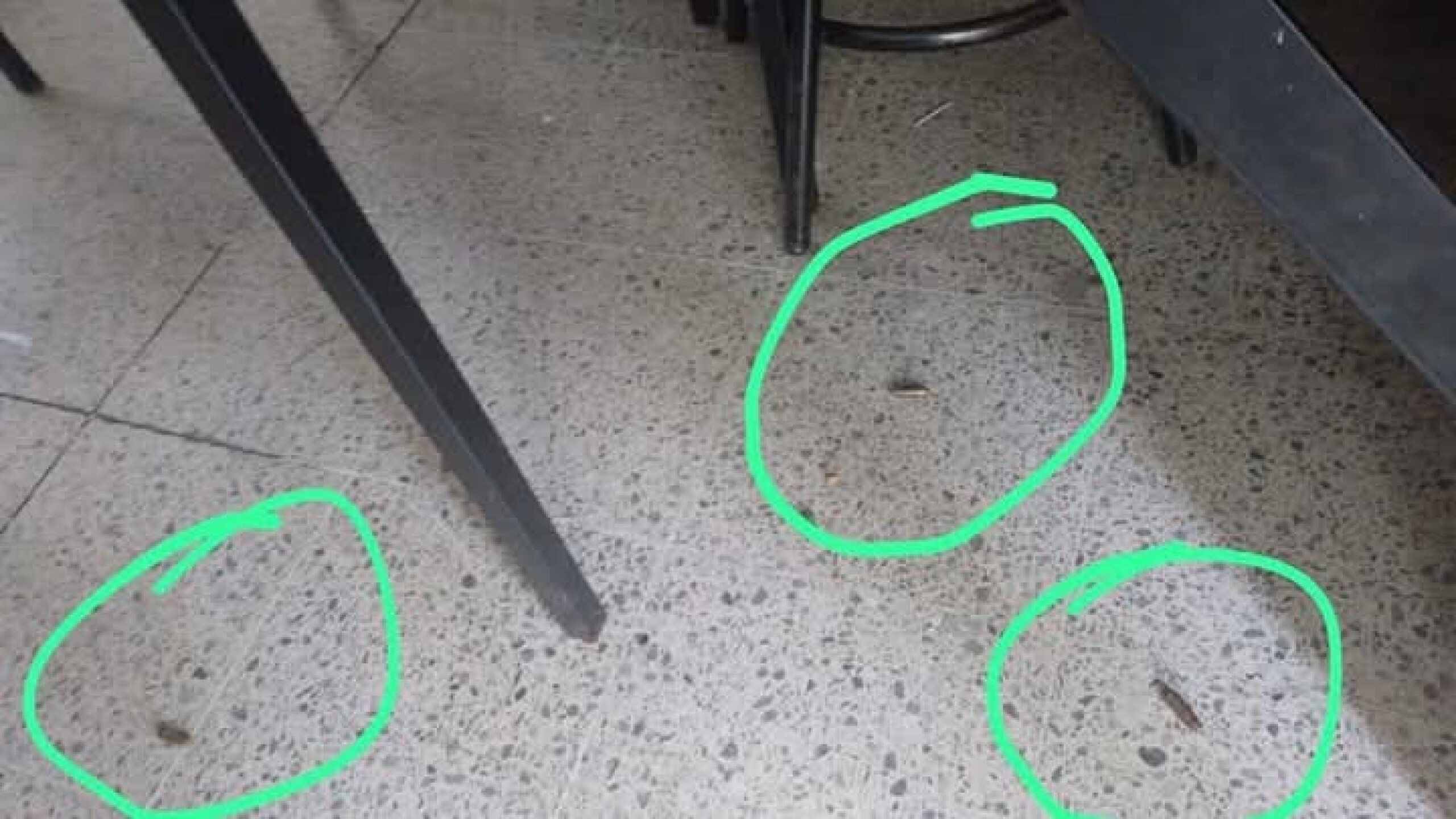 CCH Naucalpan detonaciones