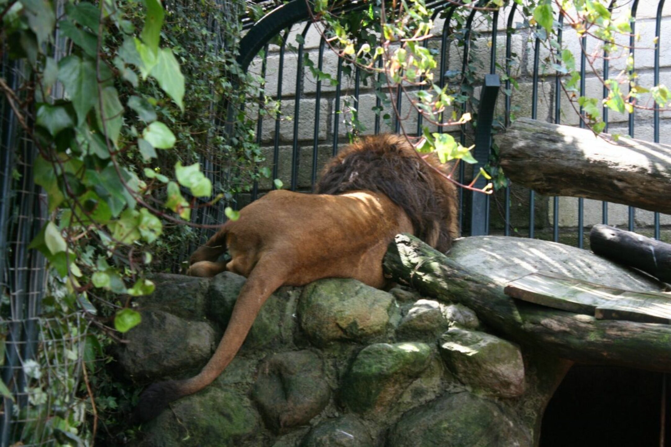 conejo-garcia-luna-mansion-desierto-de-los-leones-3-1280x853