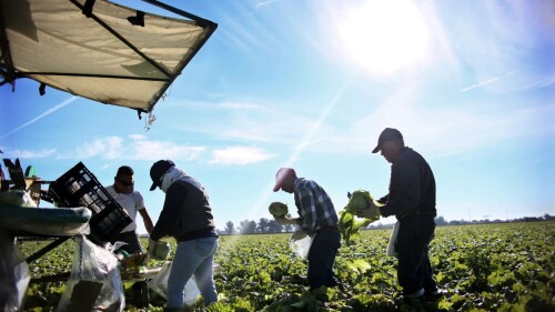 jornaleros-eu-importacion
