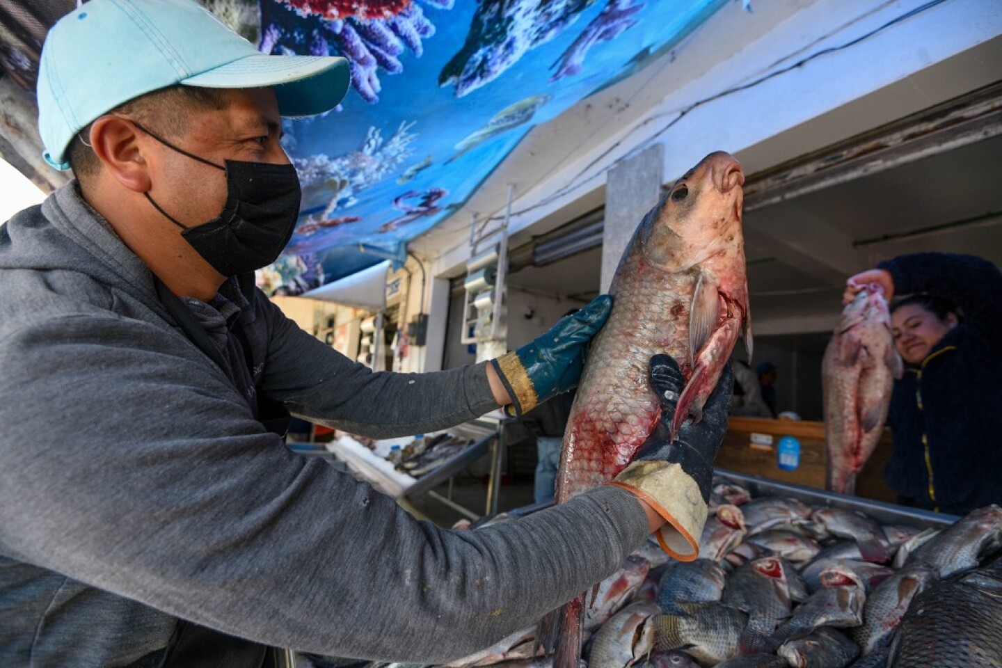 pescado