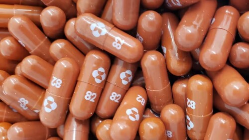 El uso de antivirales puede estar estimulando la evolución del Covid, dicen los científicos