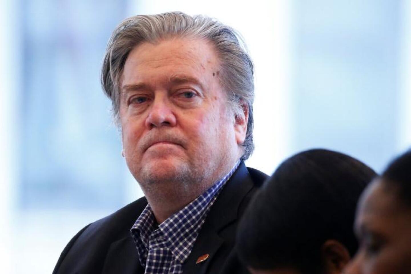 steve bannon