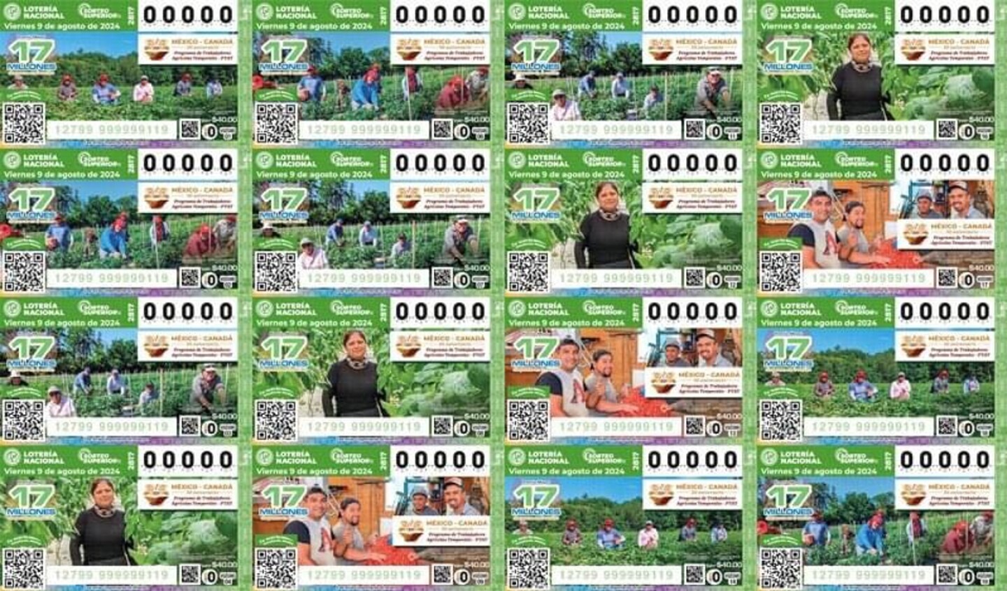 resultados-sorteo-superior-2817