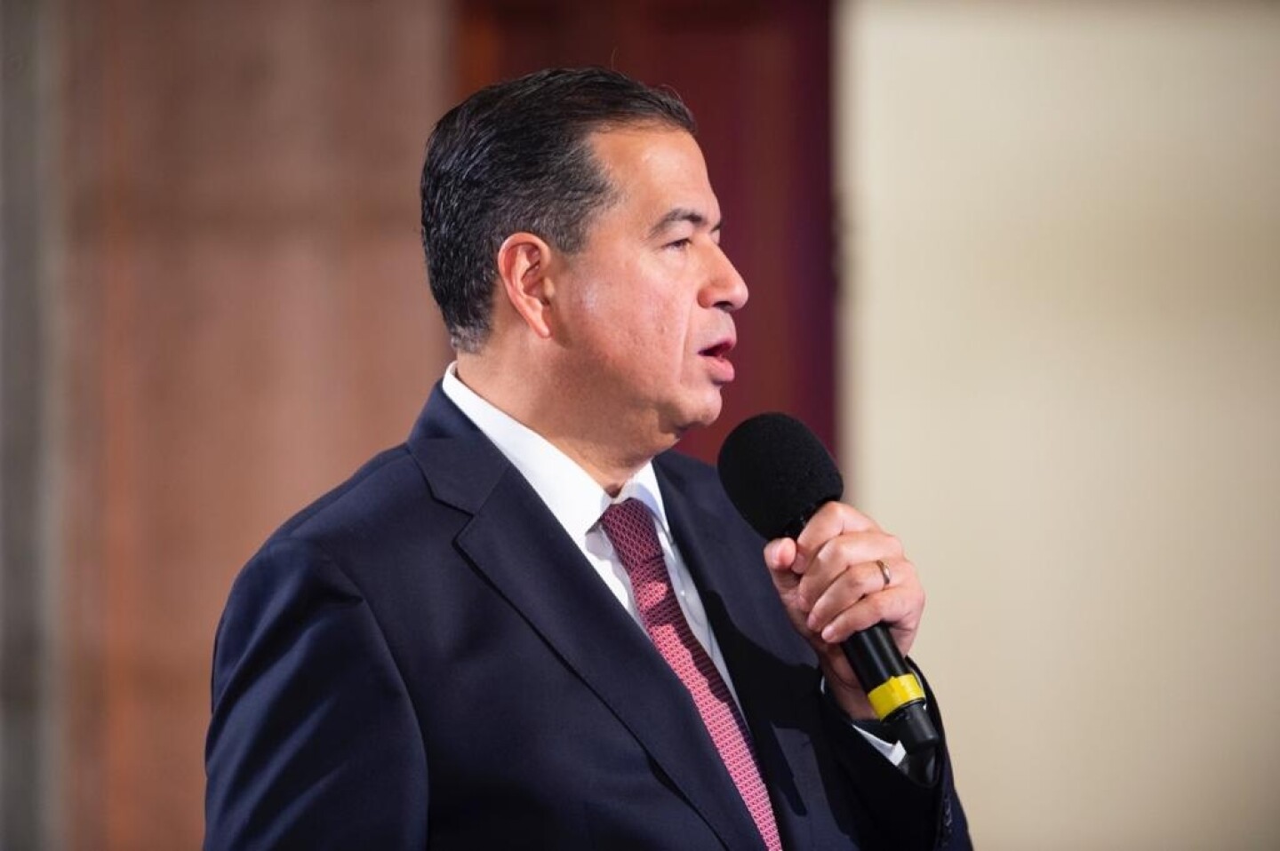 ricardo-mejia-ayotzi