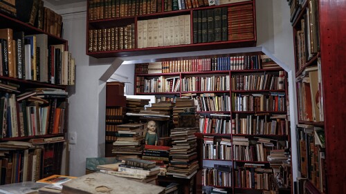 libreria-oculta-cdmx-burro-culto-dia-del-libro-1