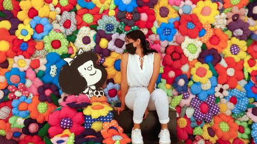 mafalda_joaquin_lavado_quino_