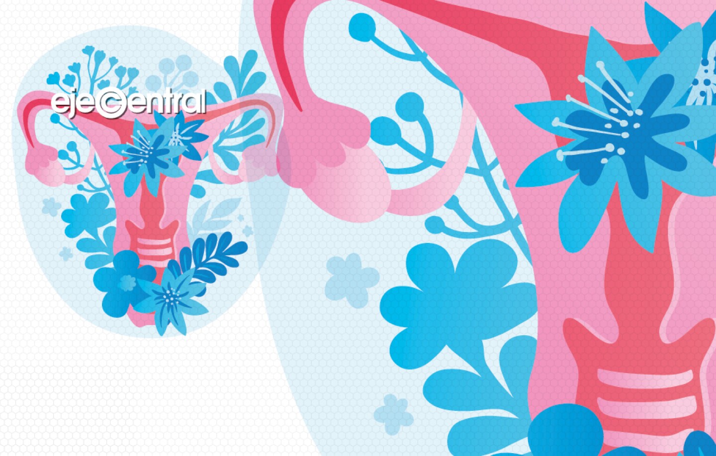 cáncer cérvico uterino