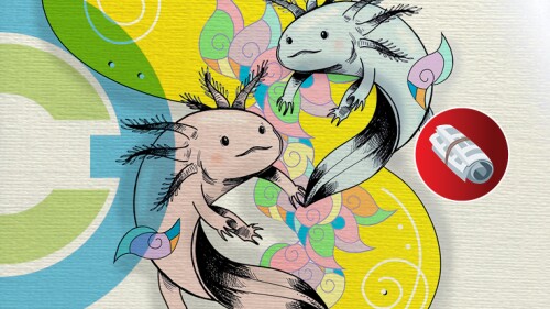 Promo_Ciencia_Web (4)