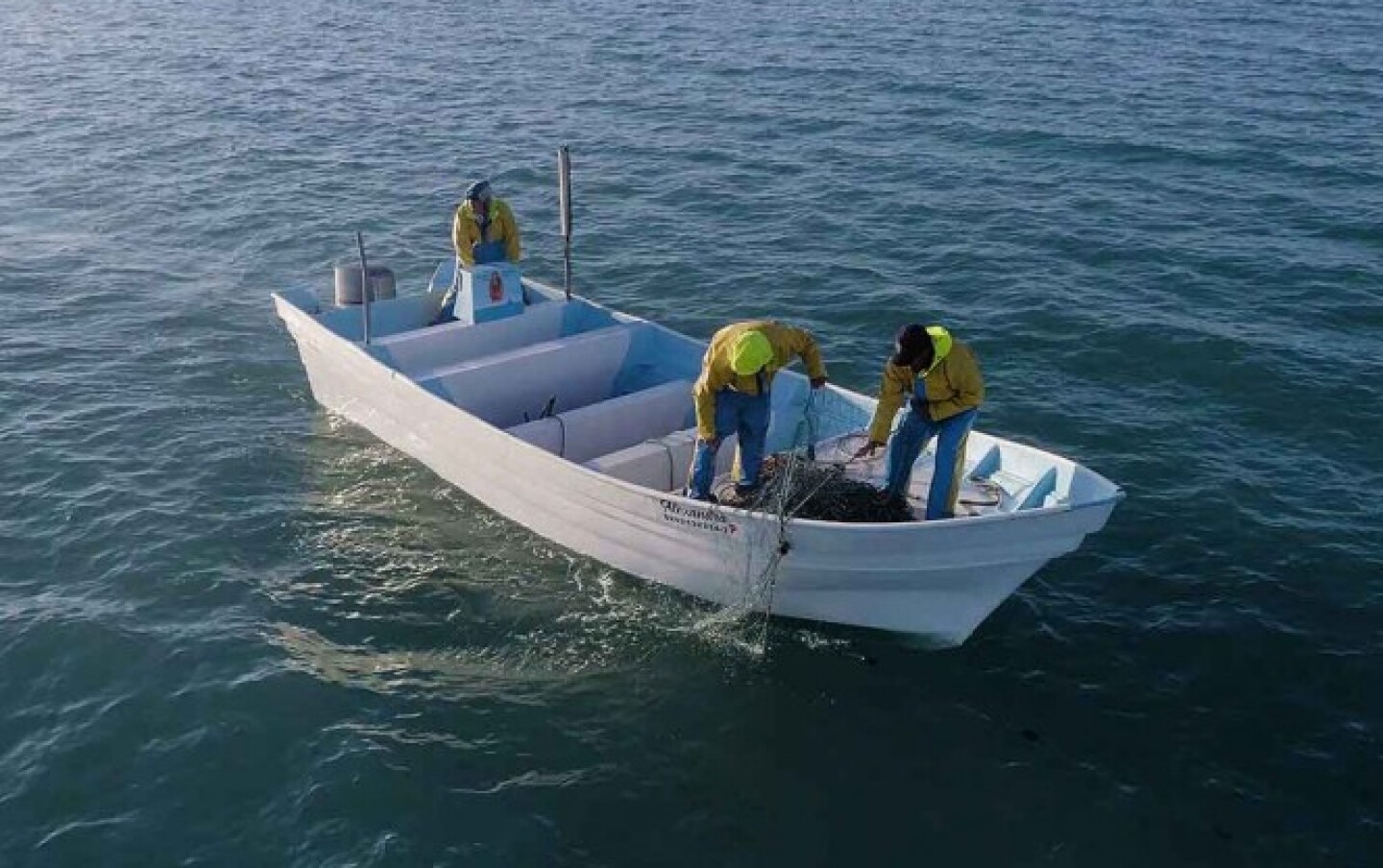 pesca-ilegal-totoaba