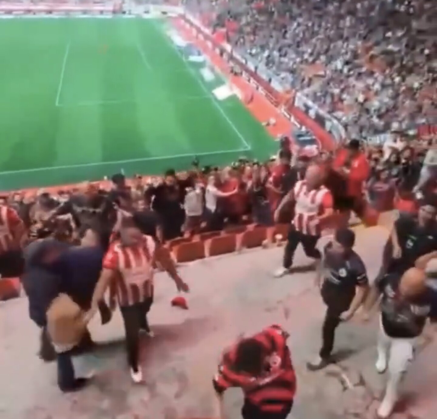 Xolos chivas baleado