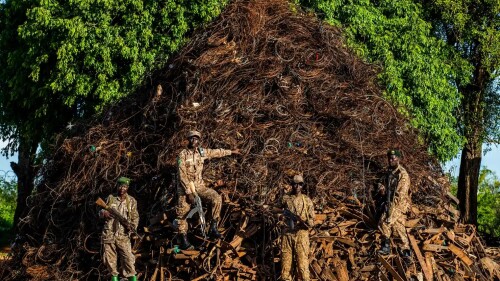guardabosques construyen una montaña con las trampas encontradas en un parque de uganda